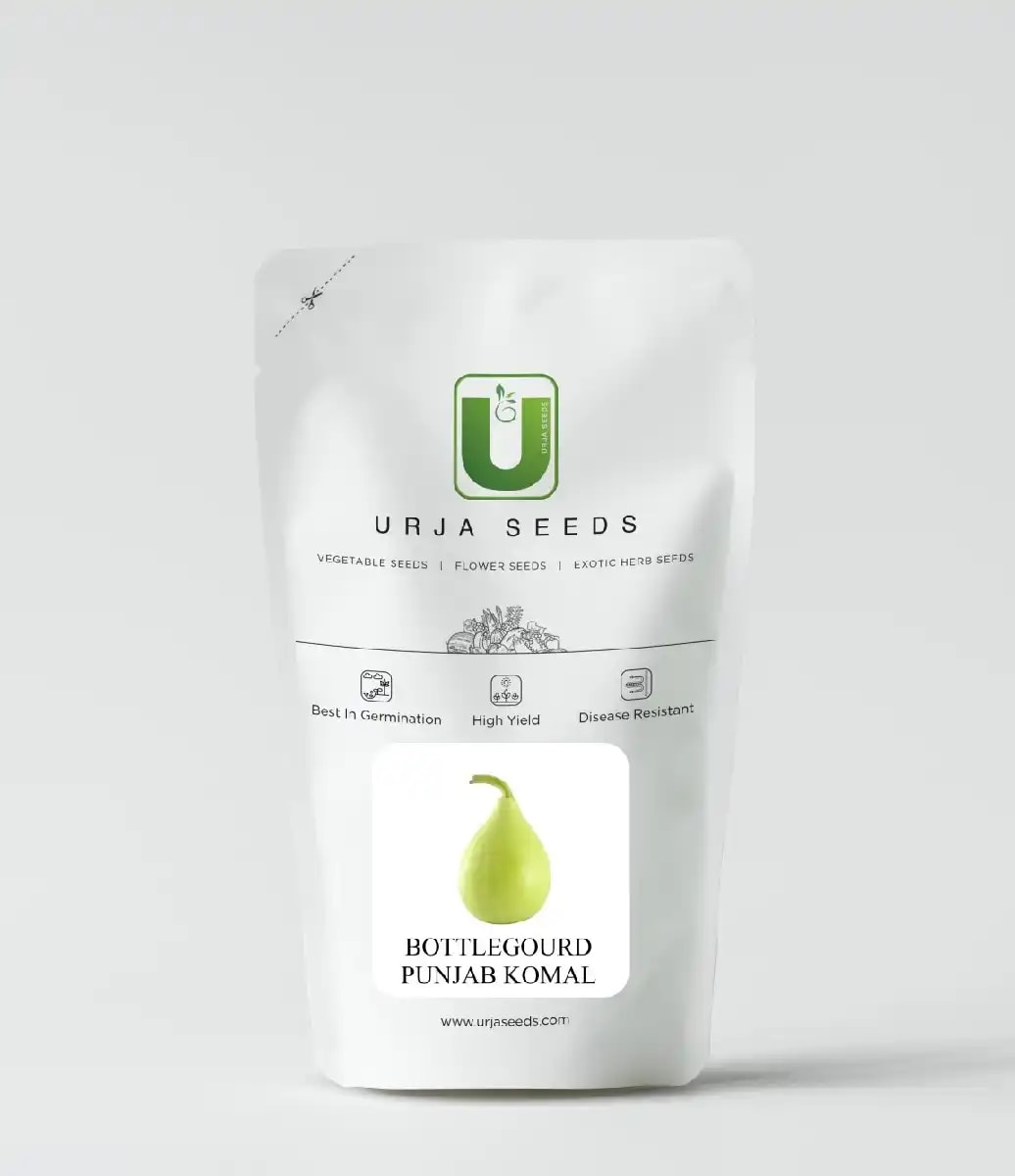 Urja Punjab Komal Supreme Bottle Gourd Seeds, Light Green Fruit, Early Maturing