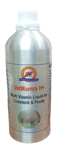 VetMantra H+ (Alluminium Pack) Multivitamin, Vitamin A, D3 and E (Mineral Mixture) - Image 1