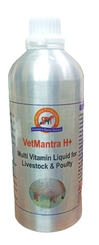VetMantra H+ (Alluminium Pack) Multivitamin, Vitamin A, D3 and E (Mineral Mixture)