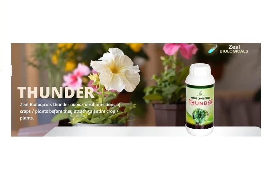Zeal Biological Thunder Viricide Virus Controller, Unleash the Power to Defeat Crop Viruses, Controls the Curling of Leaves - Image 2