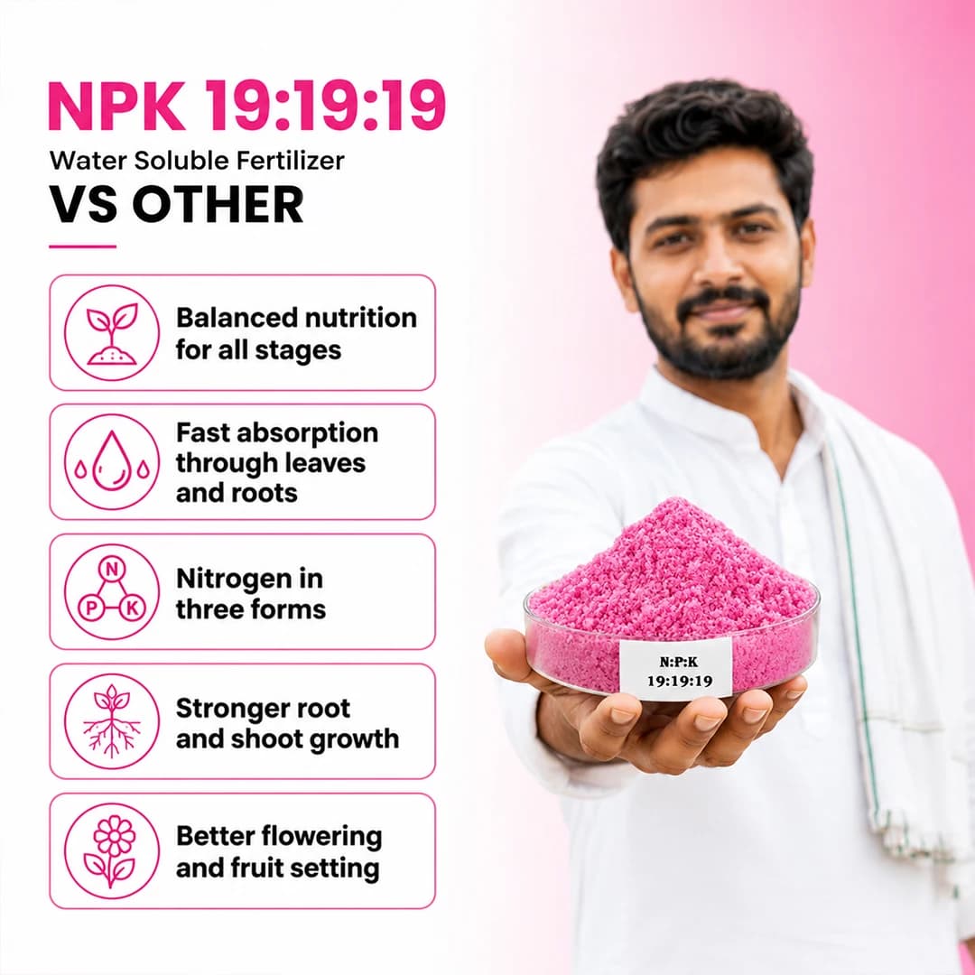 NPK 19:19:19 உரம் - 100% நீரில் கரையக்கூடியது - Image 6