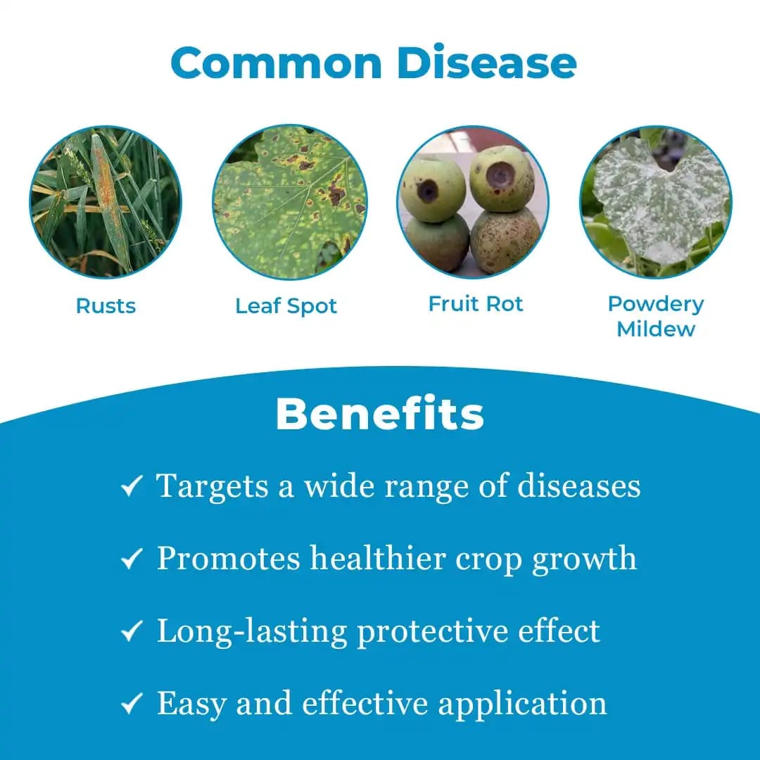 Crystal Kyoto Fungicide - Image 3
