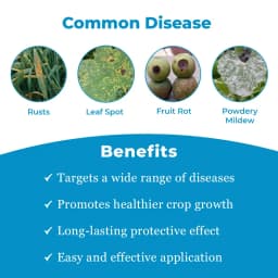 क्रिस्टल क्योतो (एज़ोक्सीस्ट्रोबिन 11% + टेबुकोनाजोल 18.3% एससी) फफूंदनाशक, फफूंद संक्रमण के विभिन्न चरणों पर नियंत्रण। 3