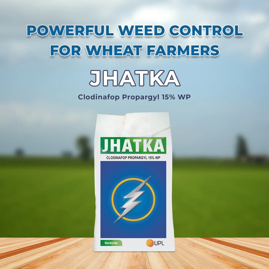 UPL Jhatka Clodinafop Propargyl 15% WP, Herbicide For Control In Most Of The Important Grass Weeds In Wheat - Image 2