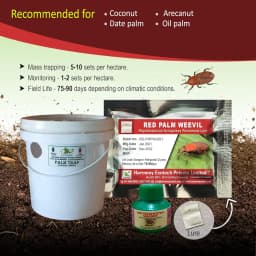ACTIVE IPM Palm Trap + Red Palm Weevil Pheromone Lure, Pest Control Tool For Rhynchophorus Ferrugineus 3