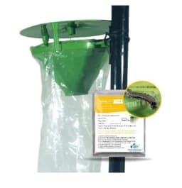 Gaiagen Fall Army Worm Pheromone Lure For Spodoptera Frugiperda And Insect Funnel Trap, IMO Certified 5