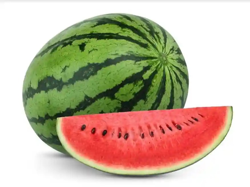 Jivit F1 Hybrid Watermelon Striped Indian Seeds, Oblong Shaped Medium Maturity Variety