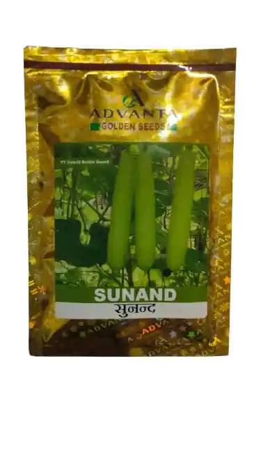 Advanta Sunand F1 Hybrid Bottle Gourd Seeds, Specially for Small Size Fruit, Gutka Type Lauki, Cylindrical Shape