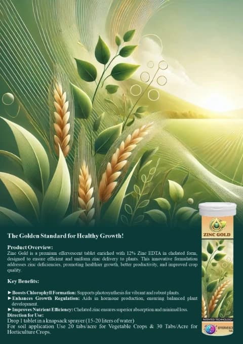 BioFizz ZINC GOLD EDTA Chelated Zn-ETA 12% Micronutrient Fertilizer, Effervescent Tablets, Enhance Enzyme, Chlorophyll, Improve Crop Health - Image 2