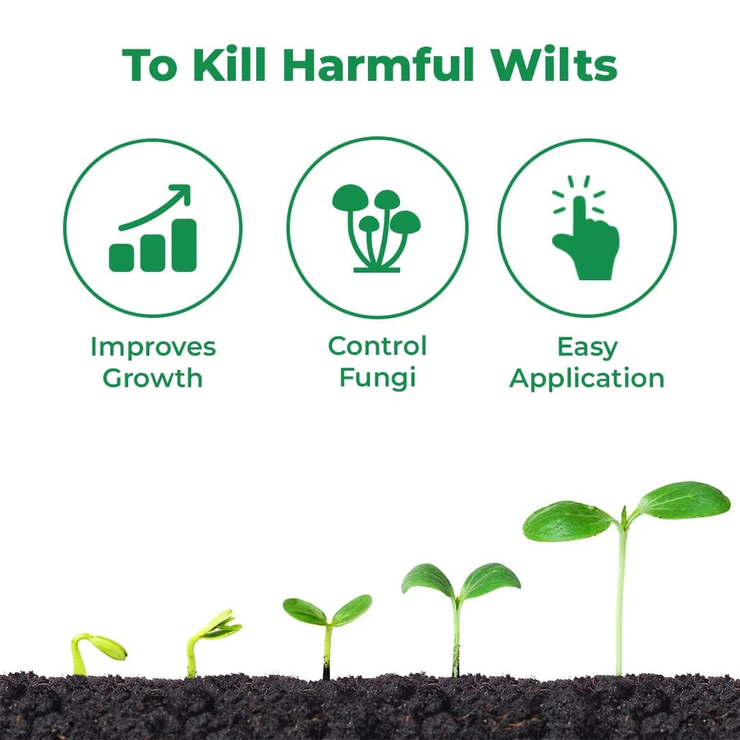 Stop Wilt Controlling Fungal, Bacterial and Nematicidal Infection Mainly Root In System, Subsequently Improves the Growth of the Plant - Image 3