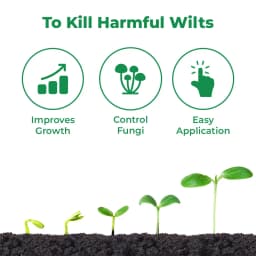 Stop Wilt Controlling Fungal, Bacterial and Nematicidal Infection Mainly Root In System, Subsequently Improves the Growth of the Plant 3