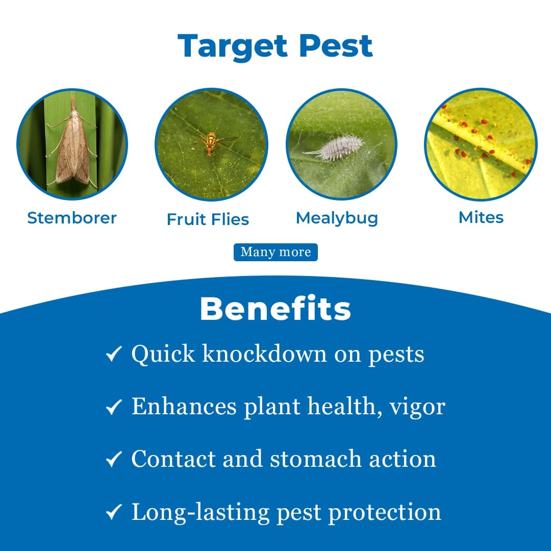 Swal Monostar Monocrotophos 36% SL Insecticide, Contact And Stomach Action - Image 3