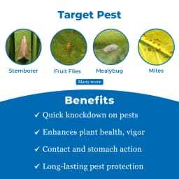Swal Monostar Monocrotophos 36% SL Insecticide, Contact And Stomach Action 3