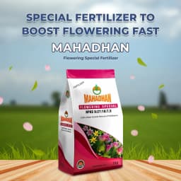 Mahadhan Flowering Special Fertilizer NPKS 9:27:18:7.5 , 100% Water Soluble Mixture Fertilizer, Use for All crops. 2