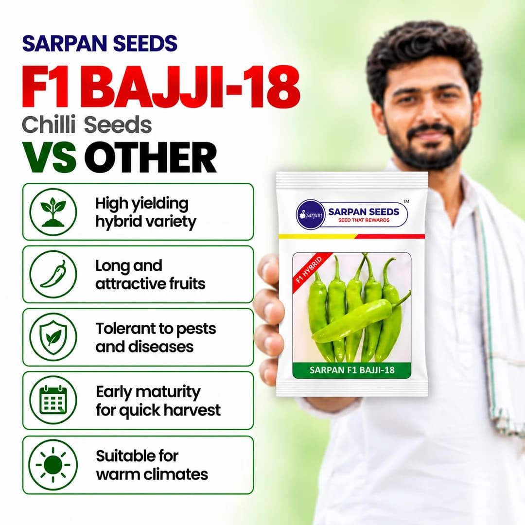 सरपन एफ1 बाजी-18 मिर्च के बीज, तीखी मिर्च, शीघ्र पकने वाली एवं अधिक उपज देने वाली। - Image 3