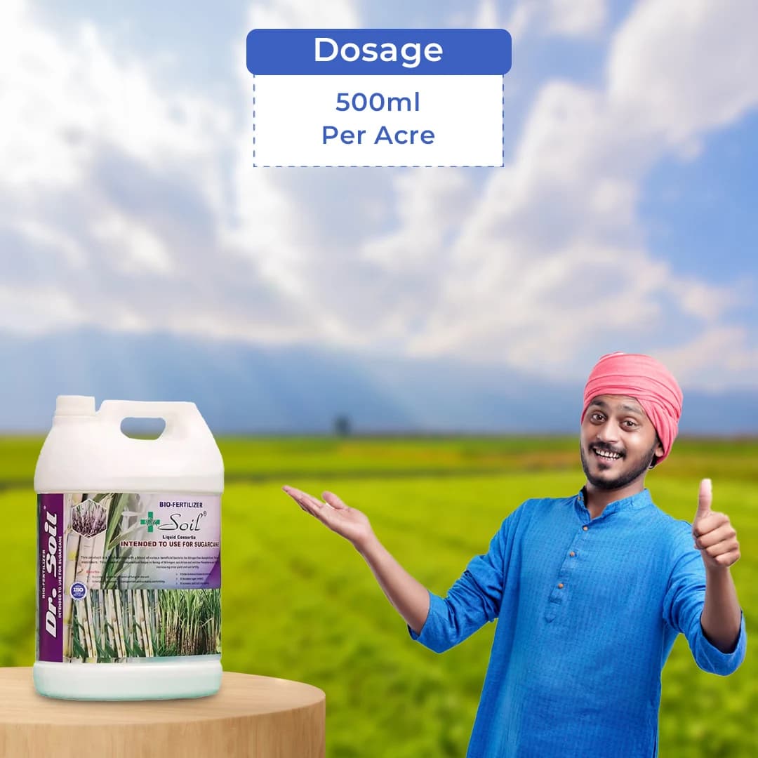 डॉ. सॉइल गन्ना (लिक्विड कंसोर्टिया) (आईएसओ प्रमाणित) (डॉ. सॉइल गन्ना स्पेशल), विशेष रूप से गन्ने के पौधों के लिए। - Image 5
