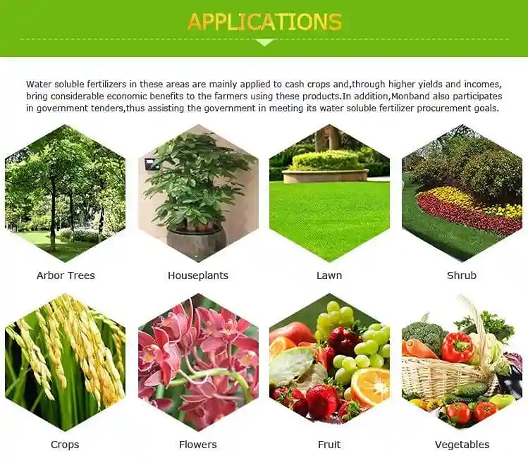 Geolife Nano Fert NPK 19:19:19 Water Soluble Fertilizer For Effective Vegetative Growth - Image 3