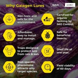 Gaiagen Brinjal Fruit And Shoot Borer Pheromone Lure For Leucinodes Orbonalis, IMO Certified. 8