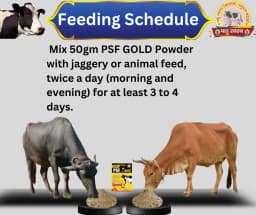 PASHU SVASTH PSF GOLD FANKI-A, Complete Animal Health Supplement Made From Traditional Herbs 3