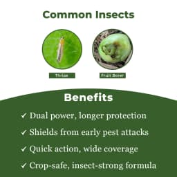 BACF Epee Emamectin Benzoate 1.5% + Fipronil 3.5% SC, Systemic and Contact Insecticides, Used For Chilli, Cotton, Cumin, Onion, Garlic, Vegetables. 3