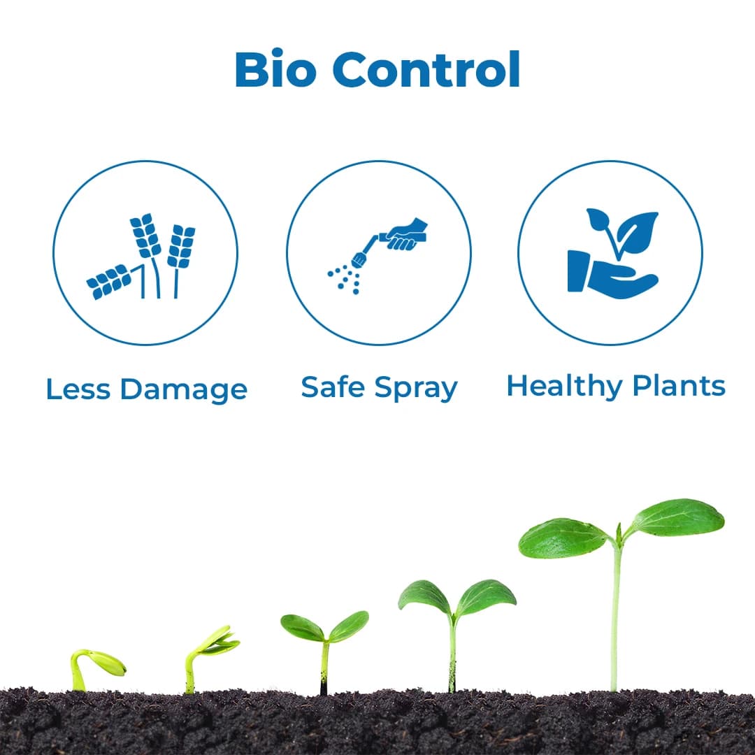 EBS All Expert (Verticillium Lecanii + Beauveria Bassiana + Metarhizium Anisopliae), 5x10^8 Control Aphids, Jassids, White Flies - Image 3