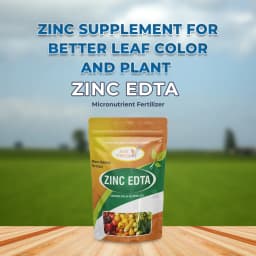 Agriventure ZINC EDTA 12%, Use On Paddy, Cotton, Chillies, Sugarcane, Vegetables, Maize, Groundnut, Horticulture Crops 2