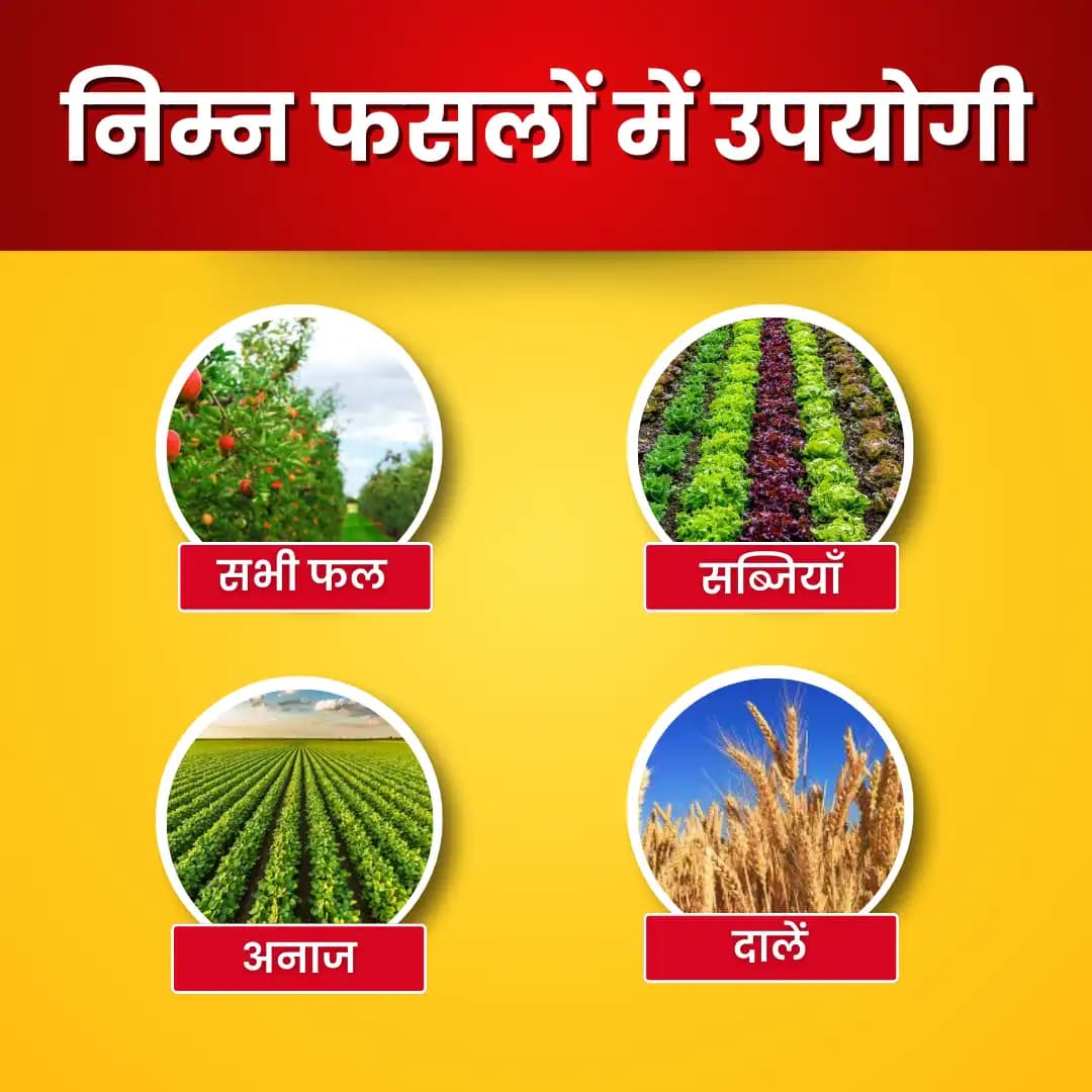 Katyayani Activated Humic Acid + Fulvic Acid Plants Fertilizer & Bio Enhancer with Silicon wetting Agent 100% Organic for Home Garden & Agriculture - Image 8