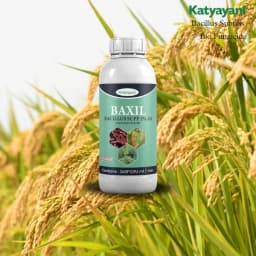 Katyayani Baxil Bacillus Supp 2% AS Liquid Bio Fungicide, Solution For Effective Control of Fungal Diseases In Crops 2