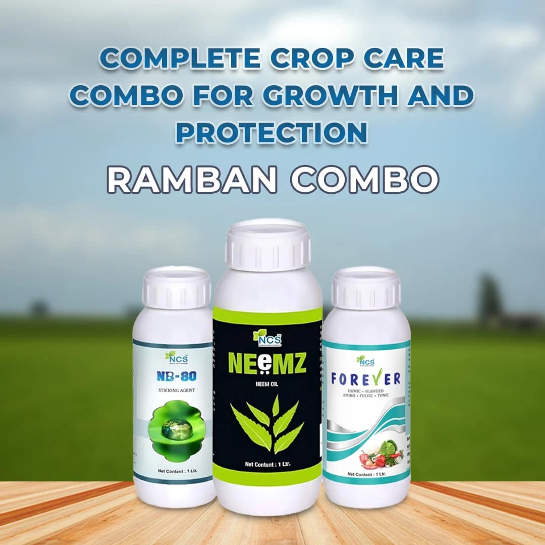 Ramban Combo (Neemz 500 ML + Forever 500 ML + NB-80 250 ML) For Initial Growth Stage Use In Any Crop - Image 2