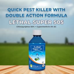 IIL Lethal Super 505 Chlorpyriphos 50% + Cypermethrin 5% EC Insecticide, Effective Against a Wide Range of Pests 2