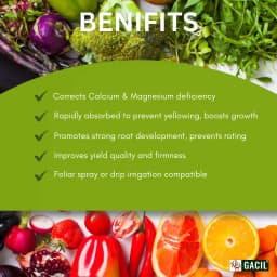 GACIL Calcium Magnesium Nitrate Liquid Micronutrient Fertilizer for Plant Growth 6