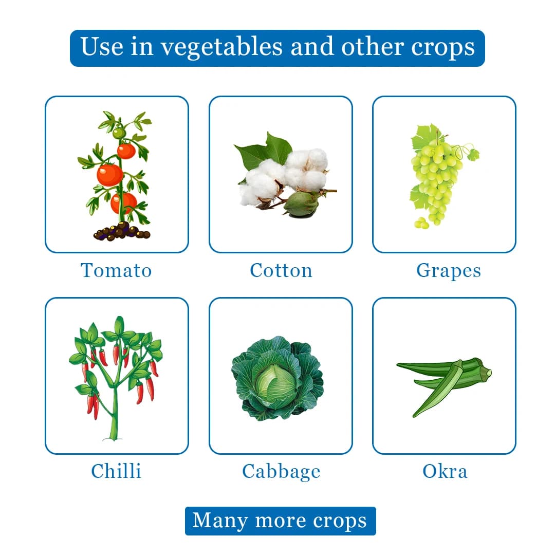 Rain Missile Insecticide - Image 4