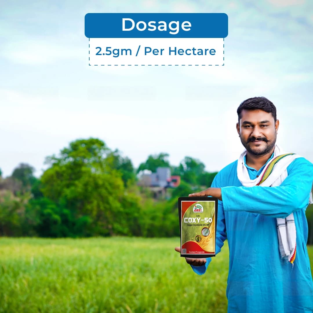 EBS Coxy-50 Copper Oxychloride 50% WP Fungicide, Broad Spectrum That Controls Fungal And Bacterial Diseases - Image 5