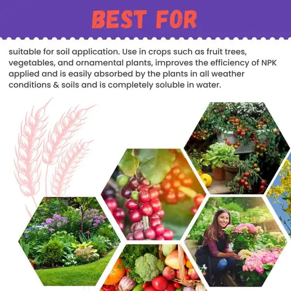 Katyayani Zinc EDTA 12% Chelated Micronutrient Fertilizer, Boosts Metabolic and Energy Processes In Plants - Image 5