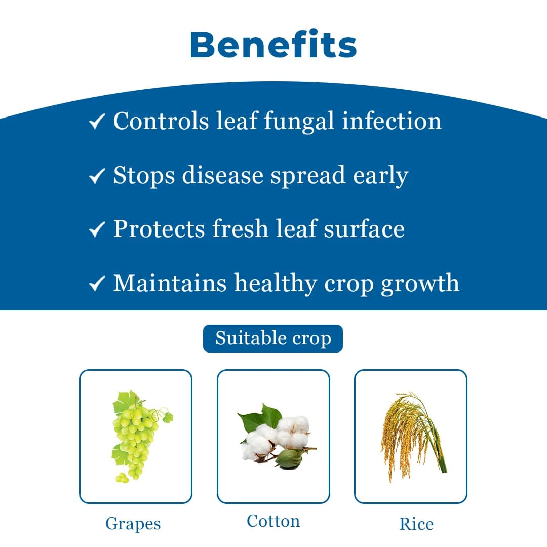 Exylon Protec Fungicide - Propiconazole 13.9% + Difenoconazole 13.9% EC - Image 4