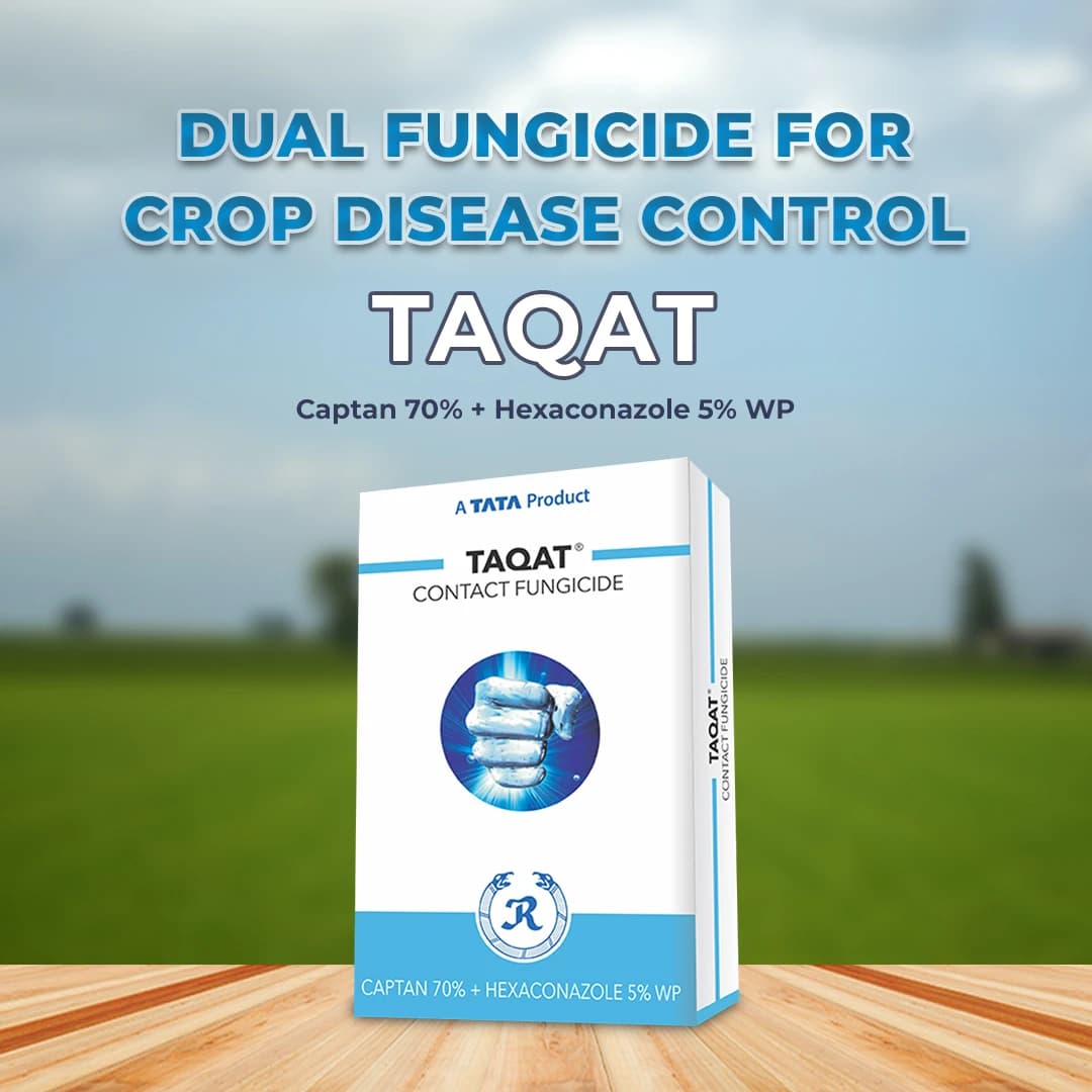 Tata Rallis Taqat Fungicide - Image 2