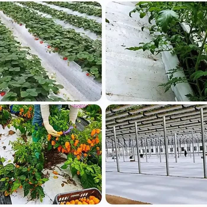 Singhal 90 GSM Garden Weed Control Barrier Sheet Mat, Landscape Fabric, Heavy Duty Weed Block Gardening Mat For Gardens (White) - Image 7