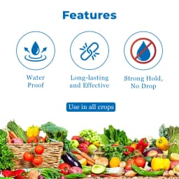 Chipku A5 Yellow & Blue Sticky Trap For Insects, For Garden & Agriculture To Control Whiteflies, Aphids, Thrips, Jassids 4