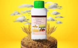 Ahaar Plant Nutrition For All Crops ( Liquid ) Best use For Vegetative Growth 3