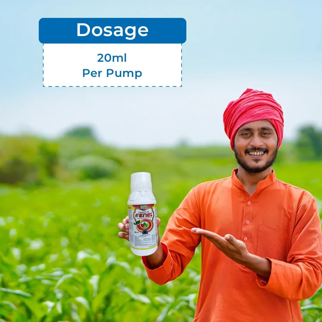 Bacf Fenel Insecticide - Image 5