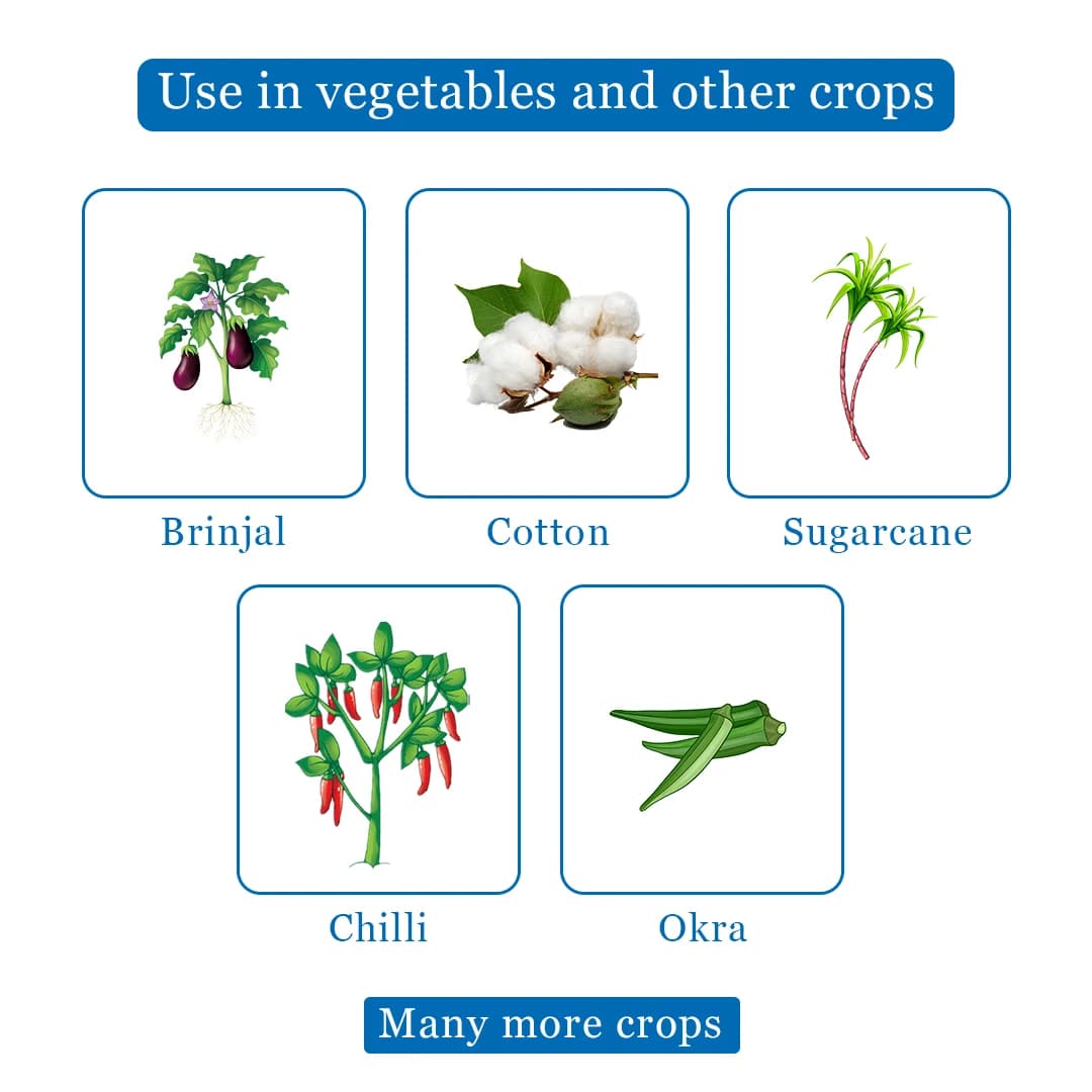 Exylon Dronex Insecticide - Dinotefuran 20% SG - Image 4