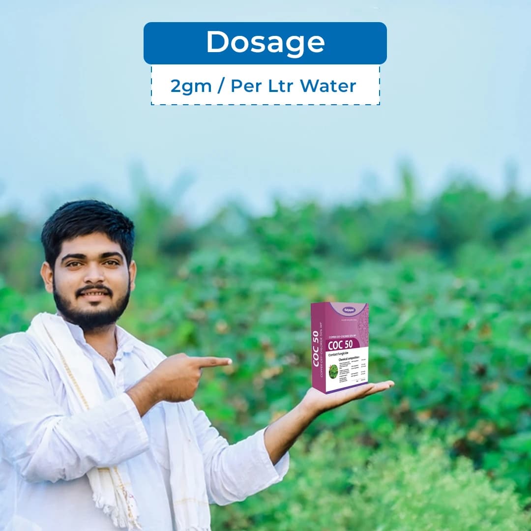 Katyayani COC 50 Copper Oxychloride 50% WP Fungicide, Effective Control Of Wide Range Of Fungal Diseases - Image 5