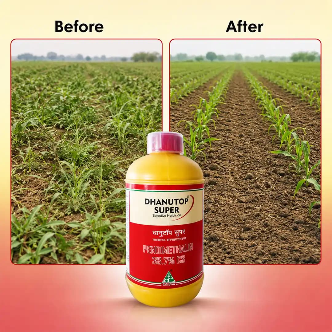 Dhanutop Super Herbicide - Pendimethalin 38.7% CS - Image 7