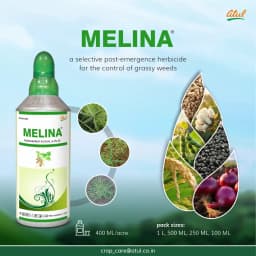Atul MELINA Fenoxaprop-p-ethyl 9.3% EC Hebicide, Control Of Grassy Weeds In Soybean, Paddy, Black Gram And Cotton Crops 6