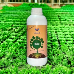 Utkarsh Rhizoz (Rhizobium Nitrogen Fixing Bacteria), Fixes Free Nitrogen Available In the Air 4