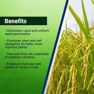 Titan Agritech PEP-GIBB 40 Gibberellic Acid 40% WSG Plant Growth Regulators, Enhances Seed Germination & Early Plant Vigor - Image 2