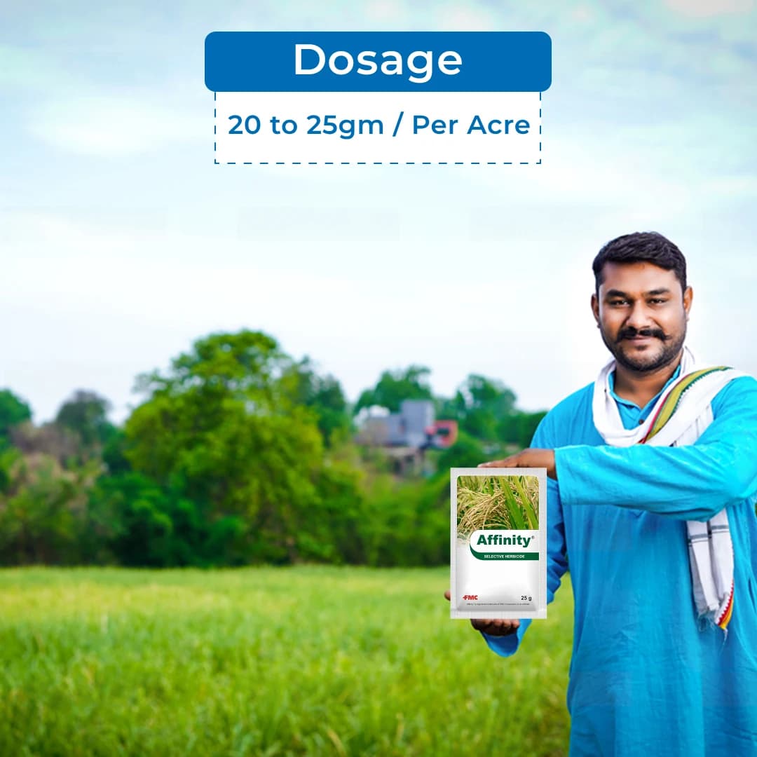 FMC Affinity Carfentrazone Ethyl 40% DF Herbicide, Broad Spectrum Control On Weeds - Image 5