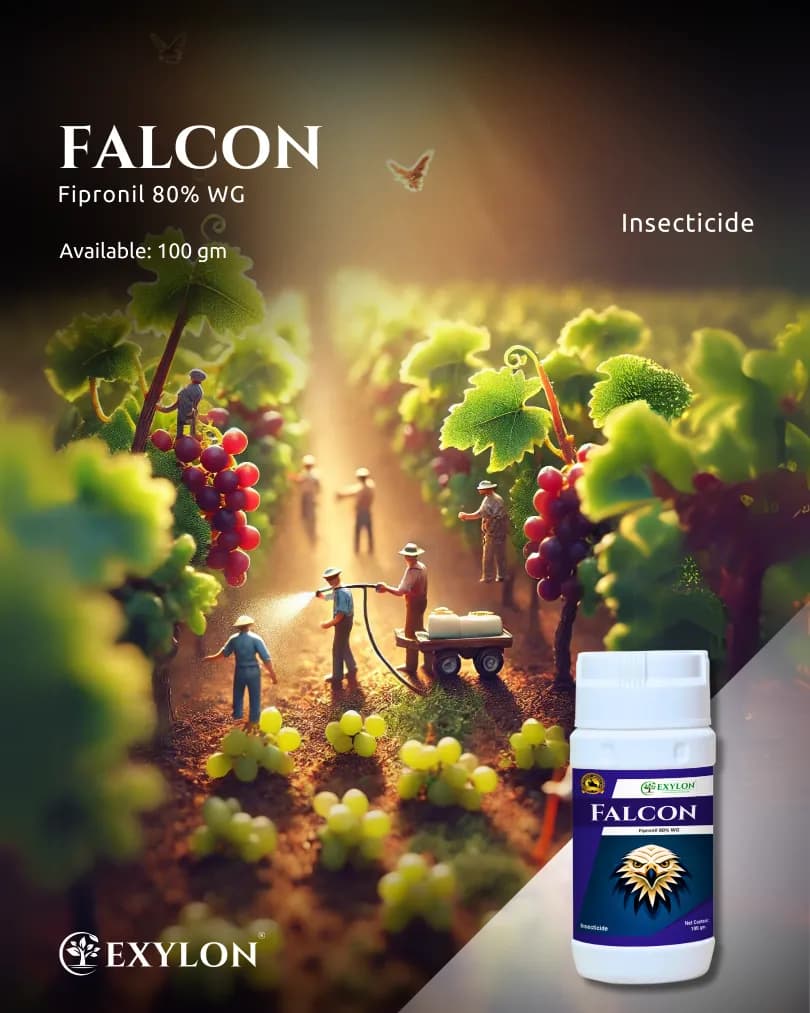 Exylon Falcon Fipronil 80% WG Insecticide, Highly Concentrated Pest Control In Crop - Image 2