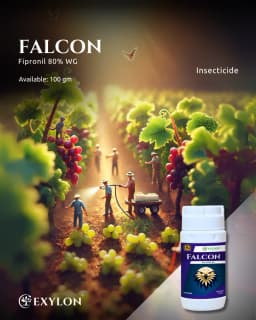 Exylon Falcon Fipronil 80% WG Insecticide, Highly Concentrated Pest Control In Crop 2