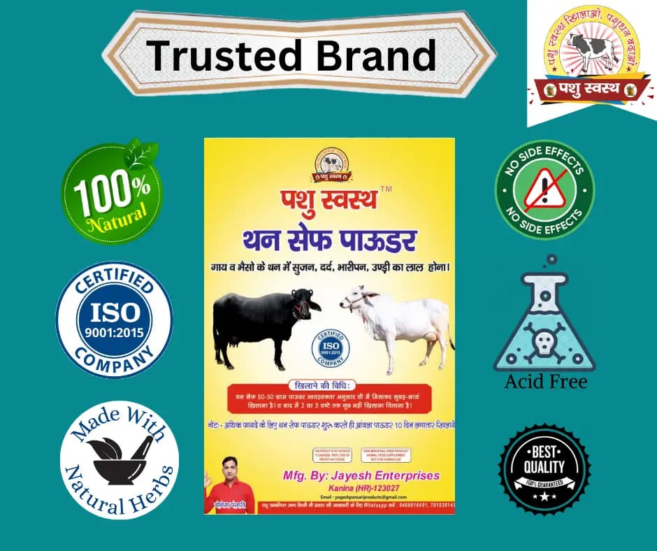 PASHU SVASTH THUN SAFE POWDER, Animal Health Supplements, Natural Mastitis & Udder Care Herbal Remedy For Dairy Animals - Image 6